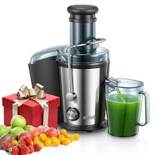 Licuadora Juilist 800W de Acero Inoxidable para Verduras y Frutas