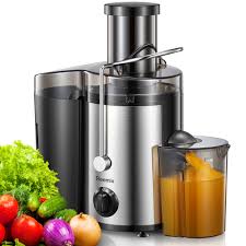 Reemix: Licuadora de Acero para Verduras y Frutas